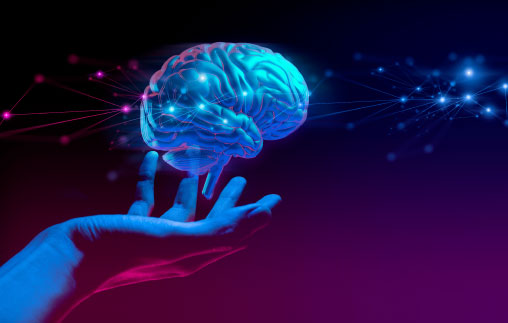 Taller MBA: Neurociencias para la Toma de Decisiones<b></b>