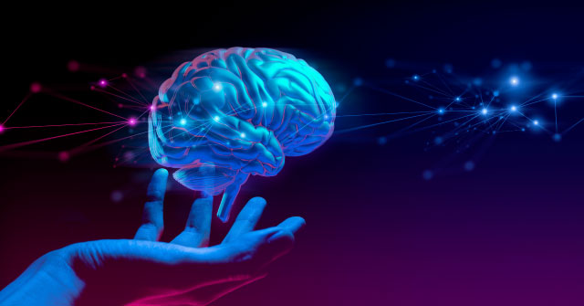 Taller MBA: Neurociencias para la Toma de Decisiones<b></b>