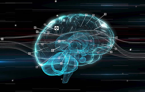 Taller: Entrenando el cerebro