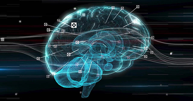 Taller: Entrenando el cerebro