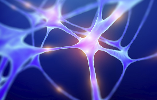 La Universidad de Palermo presentó una investigación sobre el Parkinson en el Congreso Anual de la Asociación de Psiquiatría Americana