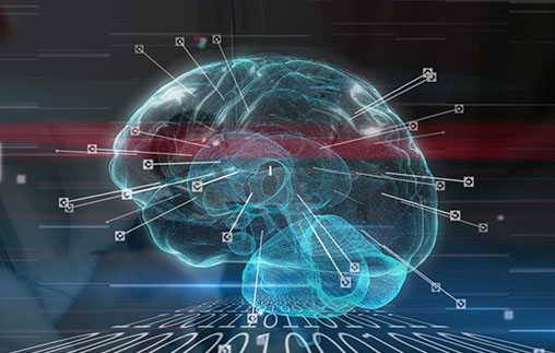 Taller: Entrenando el cerebro