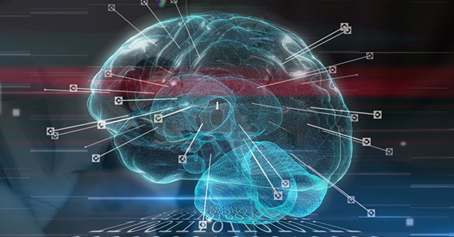Taller: Entrenando el cerebro