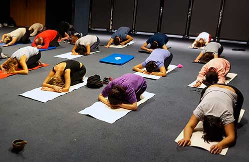 Que el yoga no pare