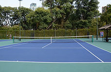 Cancha rápida