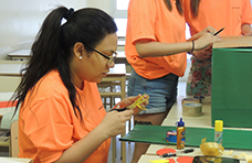 Voluntarios en acción