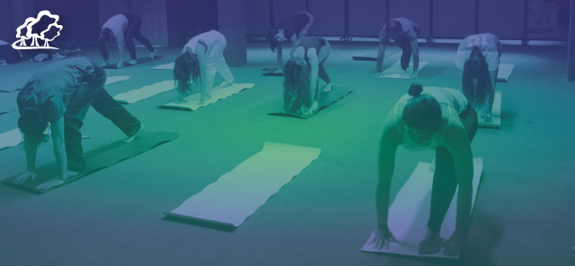 Clases de Yoga
