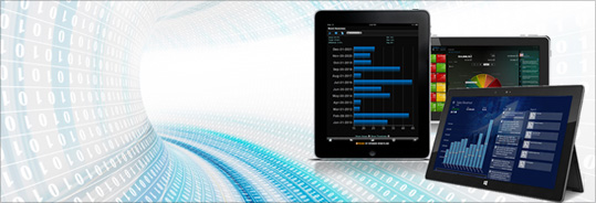 Business Intelligence