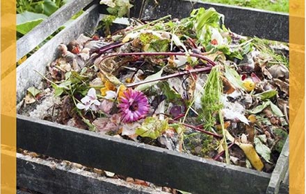 ¿Sabés qué es el compost?