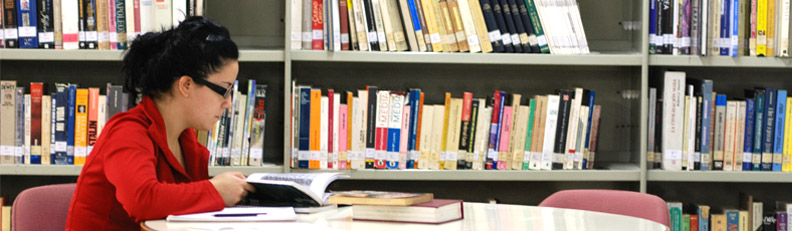 Abogac&iacute;a | Plan de estudios