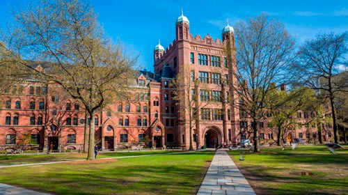 Yale Law School