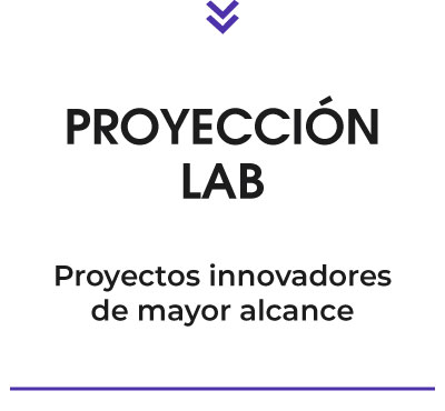 Proyeccion Lab