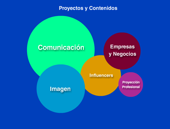 Ncleos temticos de Lic. en Relaciones Pblicas