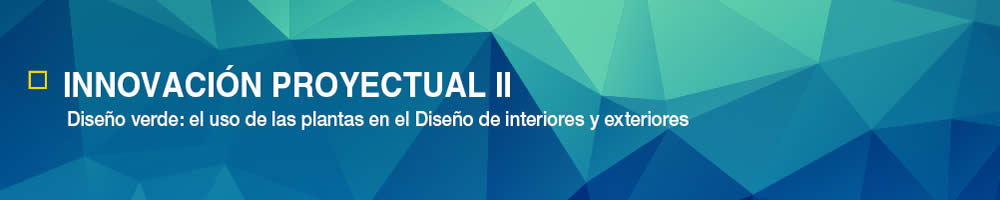 Asignaturas de la Facultad de Diseño y Comunicación