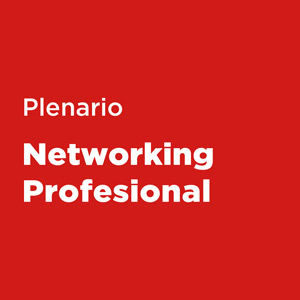 Plenario de Networking Profesional - Ediciï¿½n V / Julio 2025