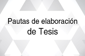 Pautas de elaboración de Tesis