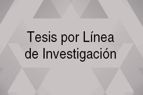 Tesis por Línea de Investigación