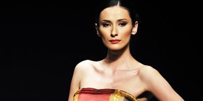 Modelo y Pasarela