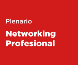 Plenario Networking Profesional