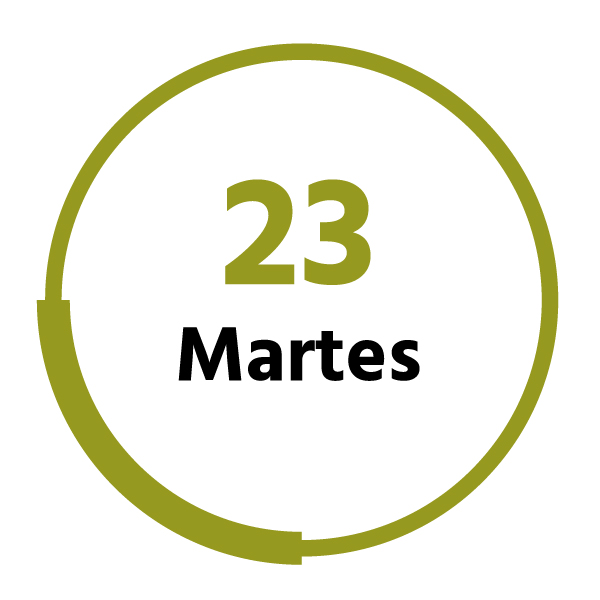 Martes 23
