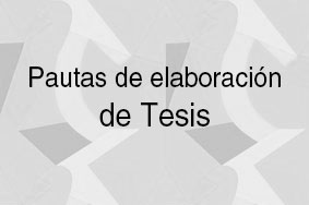 Pautas de elaboracion de tesis