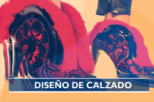 Diseño de Calzado