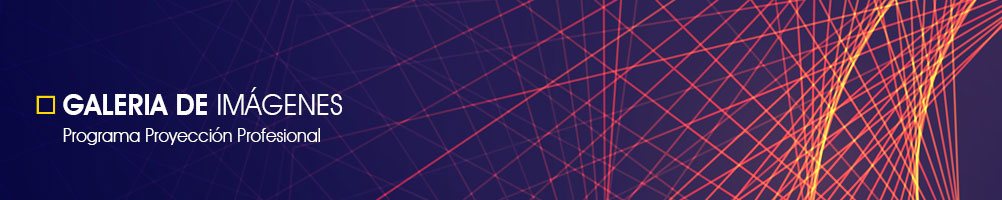 Programa de Proyección Profesional