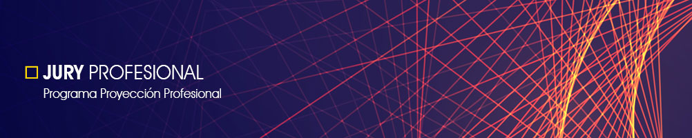 Equipo Académico del Programa de Proyección Profesional