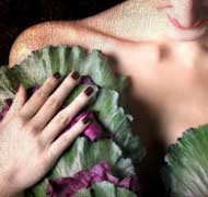 Arcimboldo