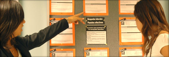 Búsqueda de Jóvenes Profesionales