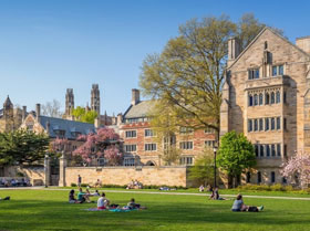 Yale University