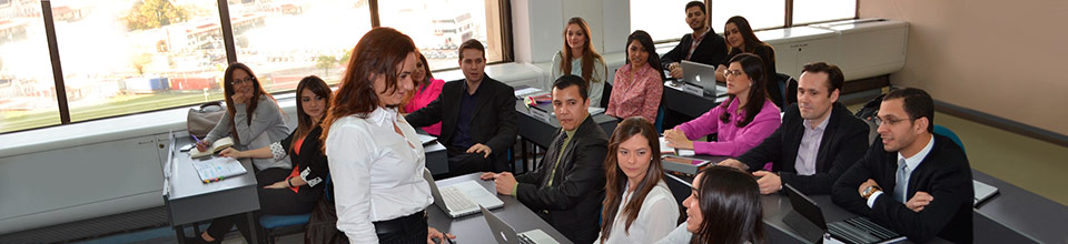 facultad negocios universidad palermo 